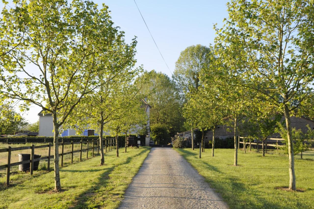 Bed and Breakfast Domaine Ramonjavel, Glamping & Alpaca'S Fongrave Exterior foto
