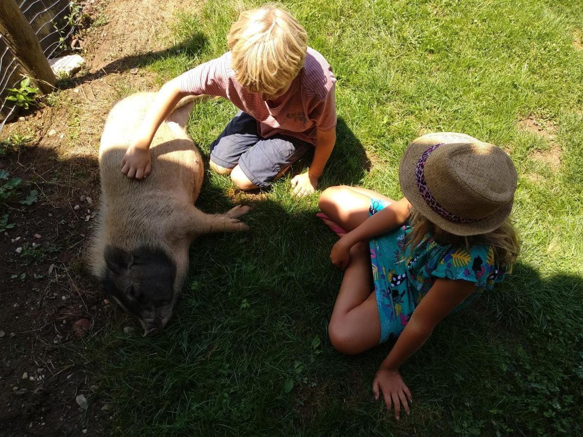 Bed and Breakfast Domaine Ramonjavel, Glamping & Alpaca'S Fongrave Exterior foto