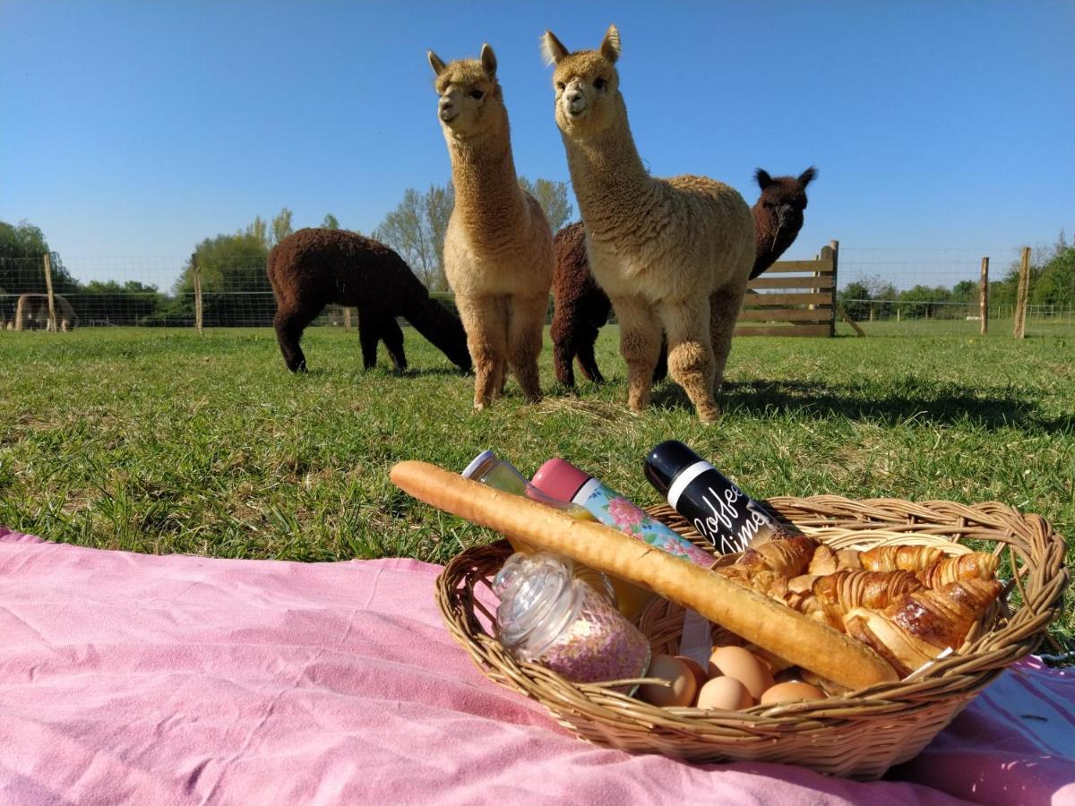 Bed and Breakfast Domaine Ramonjavel, Glamping & Alpaca'S Fongrave Exterior foto